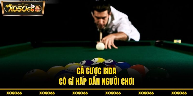 Cá Cược Bida XOSO66 - Kinh Nghiệm Chơi Hiệu Quả An Toàn