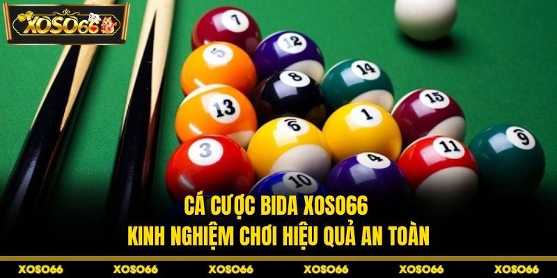 Cá Cược Bida XOSO66 - Kinh Nghiệm Chơi Hiệu Quả An Toàn