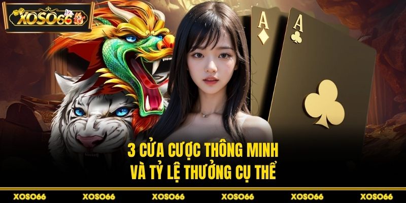 Cách Chơi Rồng Hổ Luôn Thắng XOSO66 - Kinh Nghiệm Hay