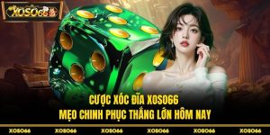 H19 get🎖️ Trang Chủ H19.com Chính Thức 9/2026 Đăng Ký +190K