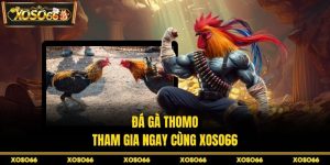 H19 get🎖️ Trang Chủ H19.com Chính Thức 9/2026 Đăng Ký +190K