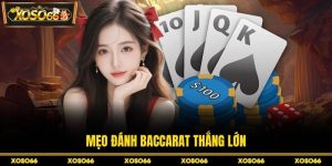 H19 get🎖️ Trang Chủ H19.com Chính Thức 9/2026 Đăng Ký +190K