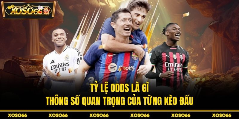 Tỷ Lệ Odds Là Gì? Hiểu Chi Tiết, Cược Hiệu Quả Tại XOSO66